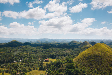 Fototapeta premium Amazingly shaped Chocolate hills on sunny day on Bohol island, Philippines