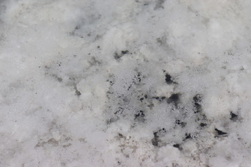 Saline-alkali land in areas around the Dachaidan Emerald Salt Lake, Qinghai Province China. Salt and texture. Crystal salt.