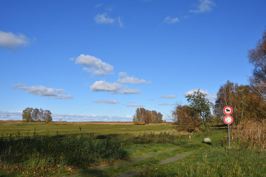 Blick zum Deich bei Grambin