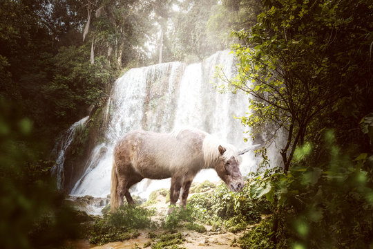 unicorn is near a waterfall- 3D-Illustration