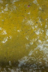 vintage background with space for text or image