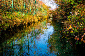 water channel between grass and trees