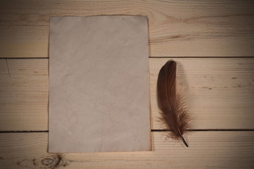 Feather and old paper sheet