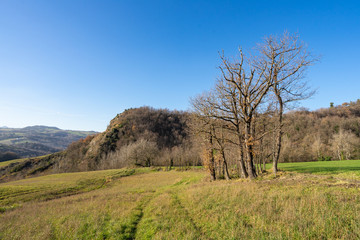 Obraz premium Countryside in Winter in San Marino 