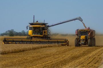 Obraz premium combine harvester and tractor working on barley field