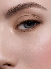 Beautiful macro shot of female green eye with extreme long eyelashes and smoky makeup. Perfect eyebrows and long lashes. Cosmetics and make-up. Closeup macro shot of fashion eyes visage