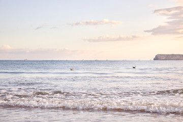 View of a beach at dawn in northern Spain.