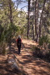Fototapeta premium Woman doing trekking in nature