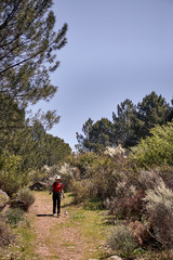 Woman doing trekking in nature