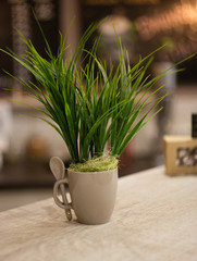 Artificial green grass in a white cup.