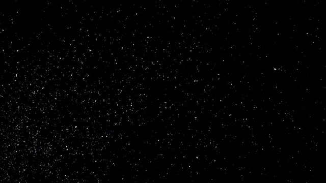 Natural Organic Dust Particles Floating On Black Background. Dynamic Dust Particles Randomly Float In Space With Slow Motion. Shimmering Glittering Particles With Bokeh. Real Colored Particles In Air.