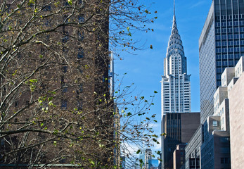 Chrysler Building View - obrazy, fototapety, plakaty