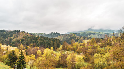 the forest in predjama, slovenia. Autumn in the mountains, wilderness forest valley