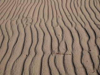 Detail shot of sand formed into waves