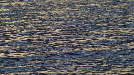 Texture de l'eau, lac d'Arjuzanx