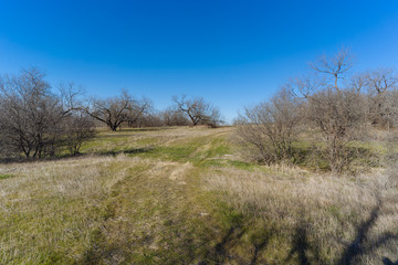 A sunny Christmas day in a Texas city park.