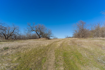 Obraz premium Walkway in a Texas city reserve on a sunny Christmas day.
