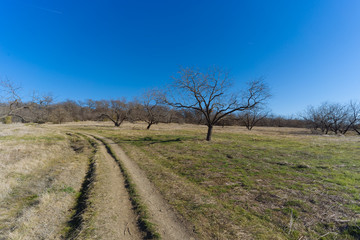 Walkway in a Texas city reserve on a sunny Christmas day.