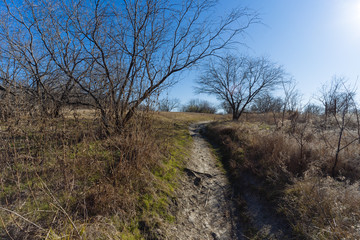 A sunny Christmas day in a Texas city park.