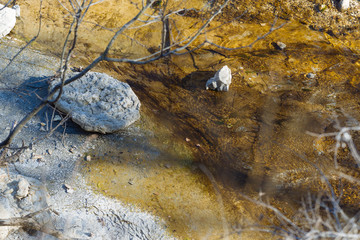 Forest River on a sunny December day in a Texas city reserve.