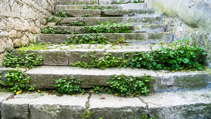 old stone stairs with moss and weeds in rovinj, croatia, europe. Bright and normal version.