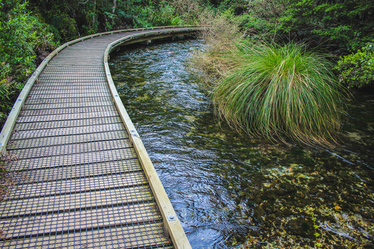 Te Waikoropupu Springs, also known as Pupu Springs, near Takaka, South Island, New Zealand