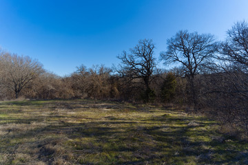 Texas City Reserve on a sunny Christmas day.