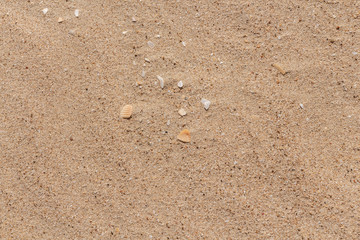 Beautiful horizontal texture of yellow sand with waves and shells is in the photo