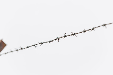 Barbed wire on the fence.