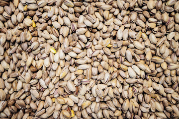 Background make from salt pistachios in a shell. A lot of pistachio nuts