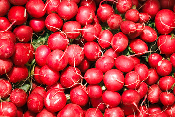 A lot of red radish. background of red radishes, lots of radishes. Lots of fresh ripe radishes at market. Top view