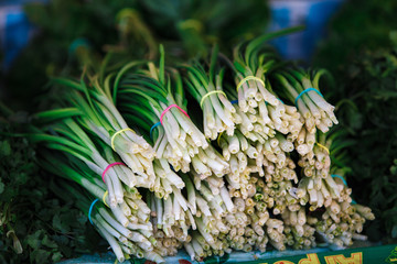 Fresh green onions on the market. The stems of onions on sale.