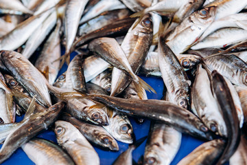 Fresh anchovy fish. Seafood european pile of anchovy fish. Black sea anchovies placed in the family Engraulidae. Lots of anchovies for sale
