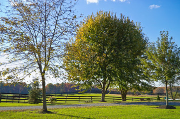 Green Countryside