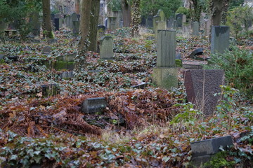 Teilausschnitt des Jüdischen Friedhofs Berlin-Weißensee