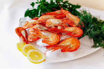 Shrimp on a plate with lemon and dill. White background