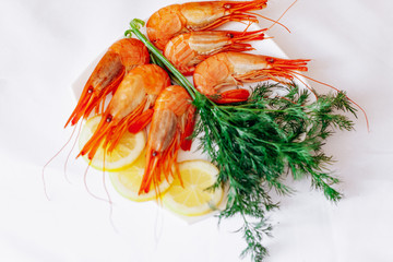 Shrimp on a plate with lemon and dill. White background