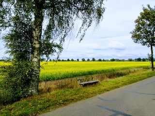 road in the countryside