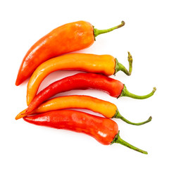 hot chilli peppers isolated on white background