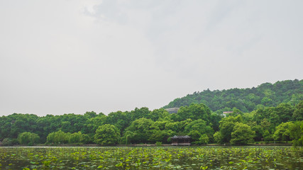 Fototapeta na wymiar Landscape of West Lake, Hangzhou, China