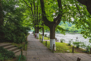 Path among trees in park by West Lake, Hangzhou, China