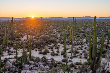 sunset in the desert mountains