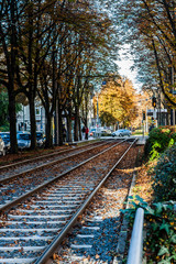 Fototapeta premium Frankfurt