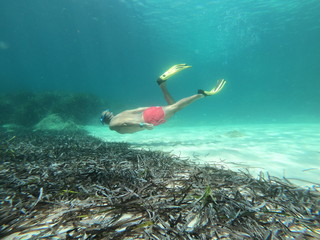 underwater man snorkeling  in the sea withcrystal-clear waters concept of holiday relax summer...
