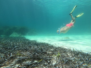 underwater man snorkeling  in the sea withcrystal-clear waters concept of holiday relax summer...