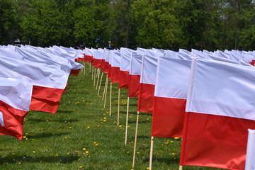 flaga symbol narodowy Polski swieto flagi  © Albin Marciniak