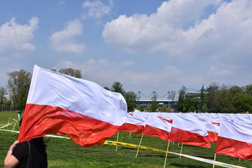 flaga symbol narodowy Polski swieto flagi  - obrazy, fototapety, plakaty