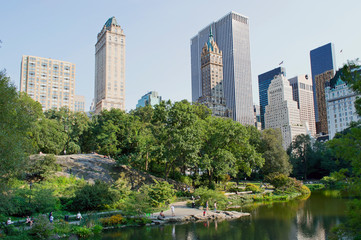 Fototapeta na wymiar Central Park Duck Pond