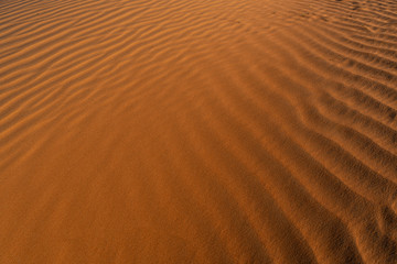 Red sand background with shadows from sunset sun, shot in desert at summer evening. Safari destination.