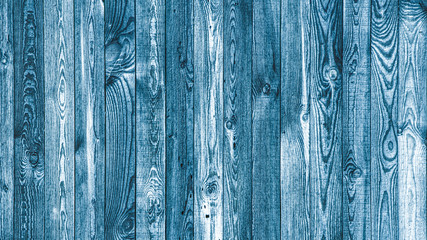 Fototapeta na wymiar Dark blue background tree textured. Top view with empty space
